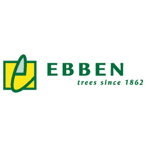 Ebben